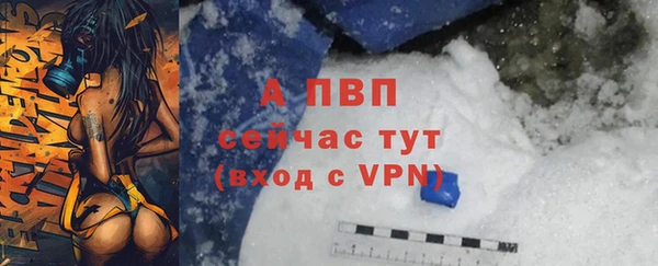 СК Россошь